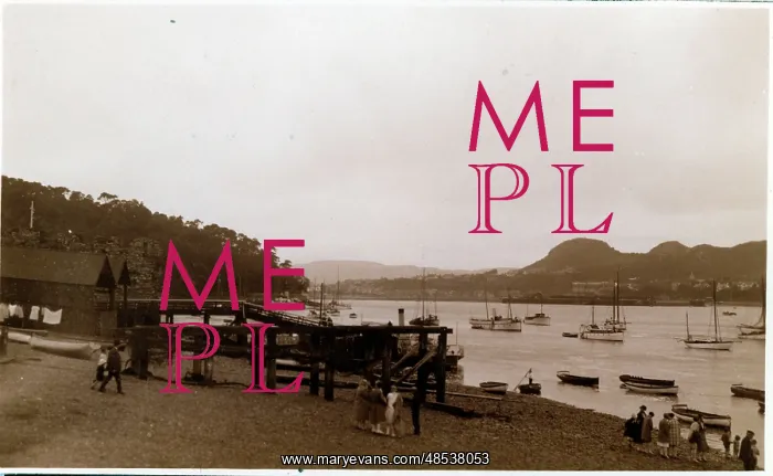 : Thought to be the Harbour and River Dart : Thought to be the Harbour and River Dart