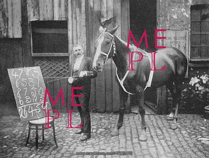 : THOUGHT-READING HORSE : THOUGHT-READING HORSE