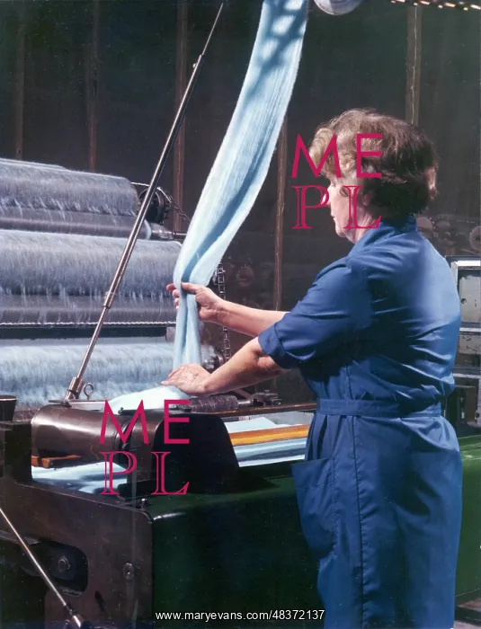 : Threads entering a weaving machine : Threads entering a weaving machine
