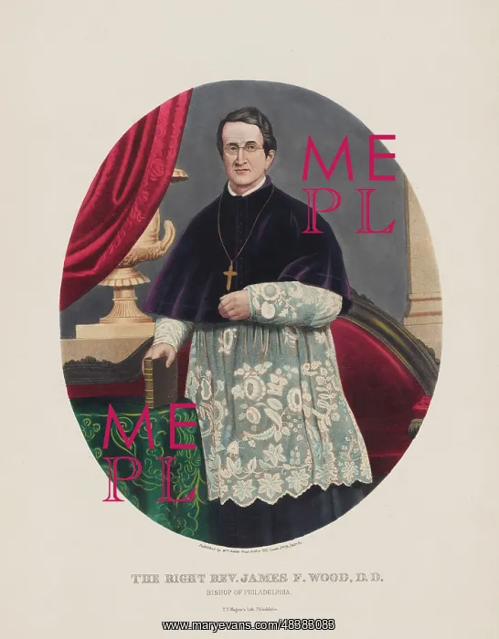 : Three-quarter-length portrait of Bishop James : Three-quarter-length portrait of Bishop James