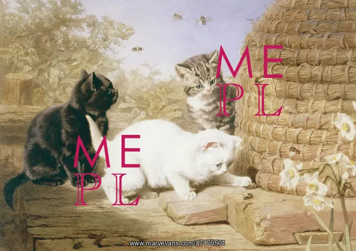 : Three's Trouble – kittens by a beehive : Three's Trouble – kittens by a beehive
