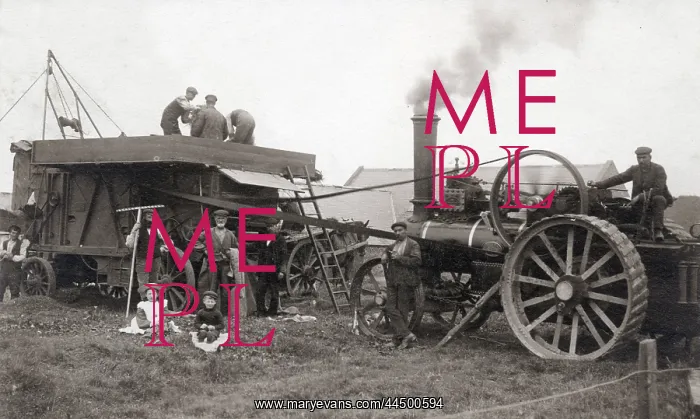 : Threshing corn by traction engine : Threshing corn by traction engine