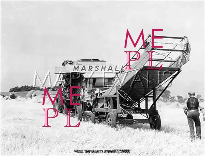 : THRESHING IN EAST ANGLIA : THRESHING IN EAST ANGLIA
