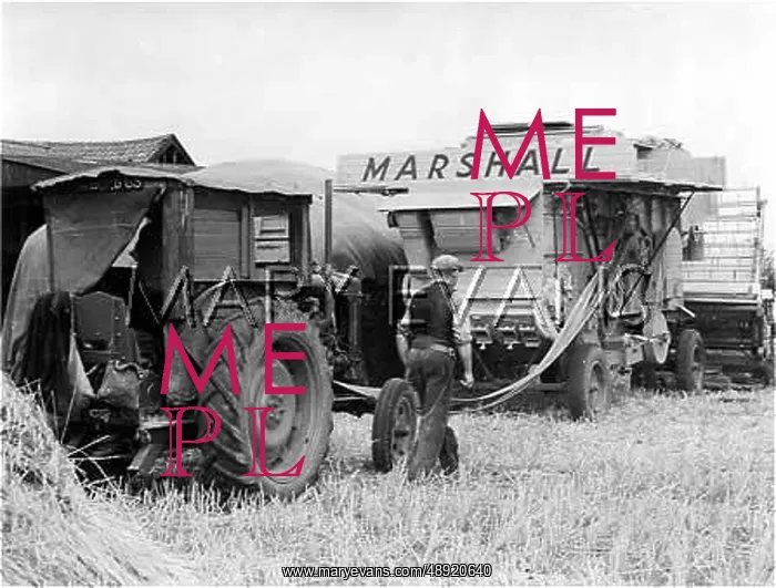 : THRESHING IN EAST ANGLIA : THRESHING IN EAST ANGLIA