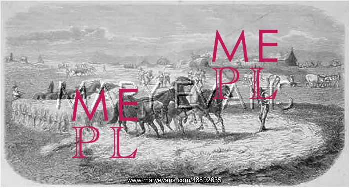 : THRESHING, ITALY : THRESHING, ITALY