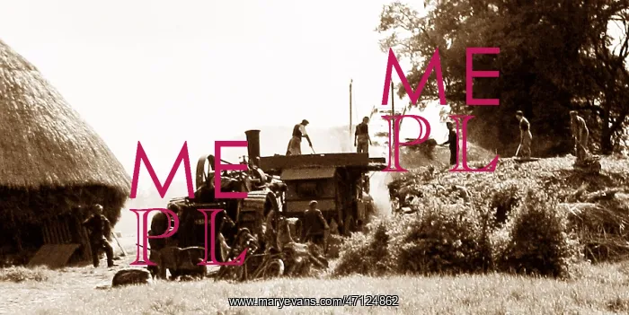  : Threshing machine