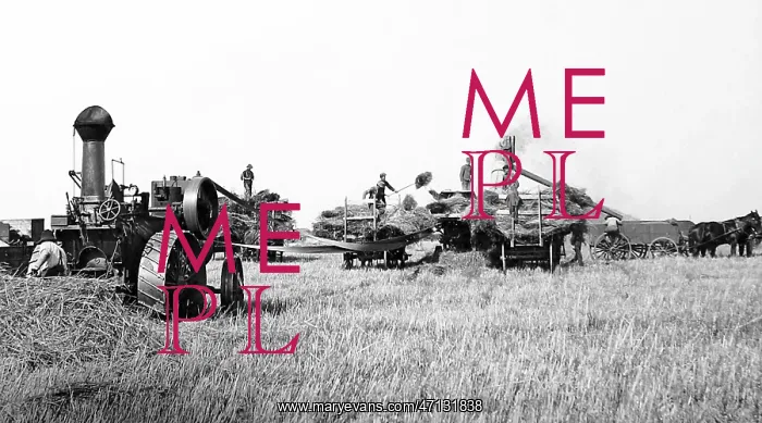  : Threshing on the Prairies, Canada