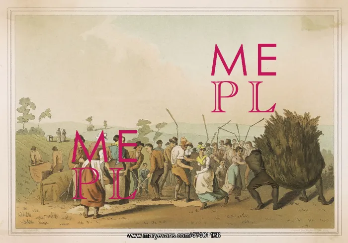 : THRESHING RAPE 1814 : THRESHING RAPE 1814
