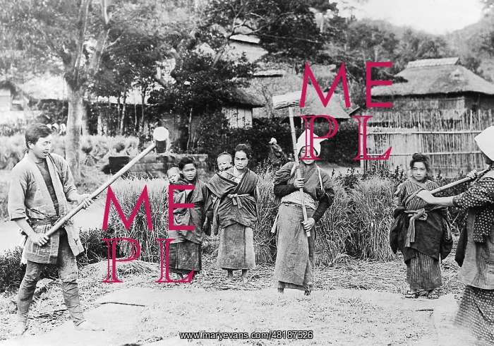 : Threshing of rice, 1938 : Threshing of rice, 1938