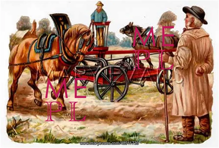 : THRESHING, SCRAP : THRESHING, SCRAP