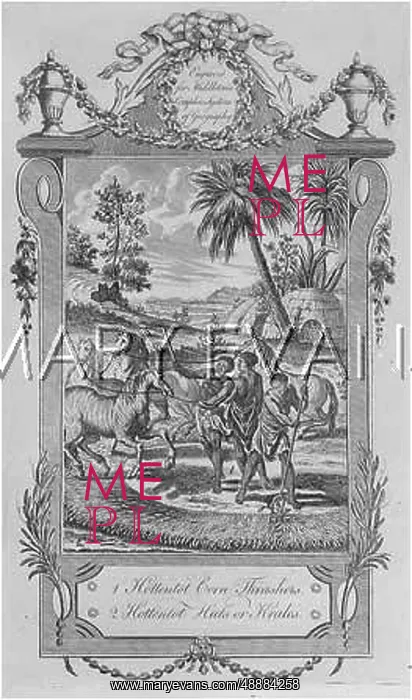: THRESHING, SOUTH AFRICA : THRESHING, SOUTH AFRICA