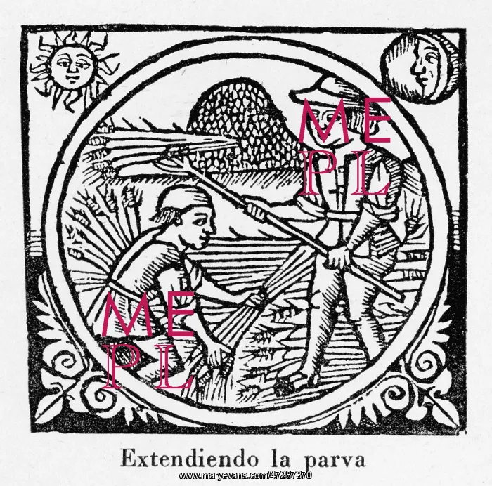 : Threshing, Spain 1511 -2 : Threshing, Spain 1511 -2