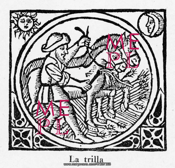 : Threshing, Spain 1511 : Threshing, Spain 1511