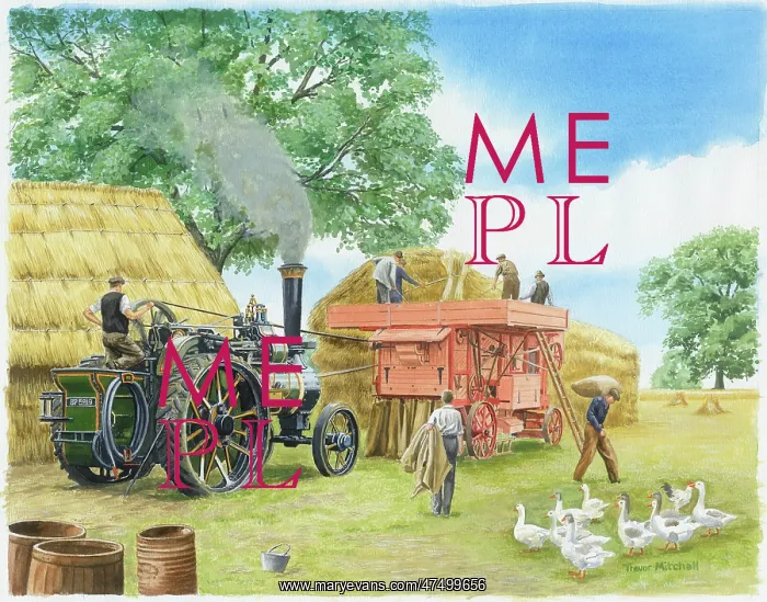 : Threshing ? with Steam Engine, Haystacks, etc : Threshing ? with Steam Engine, Haystacks, etc