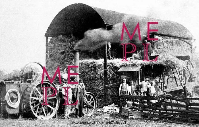  : Threshing with a traction engine