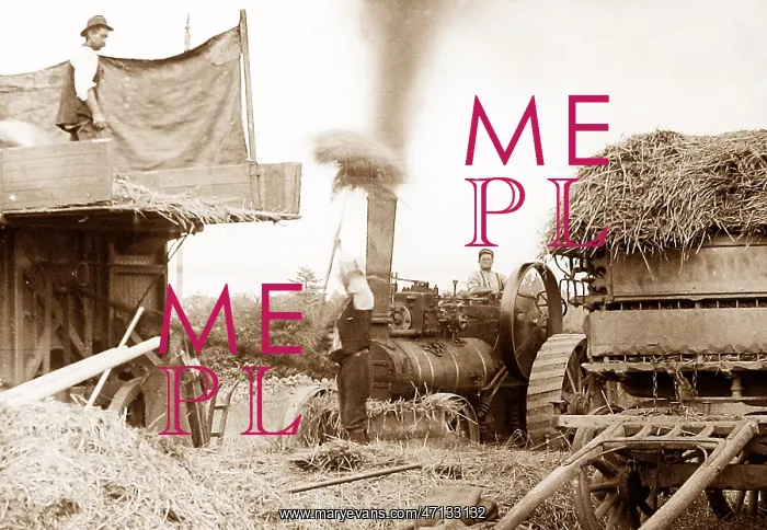  : Threshing with a traction engine