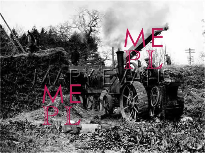  : THRESHING WHEAT 1930S