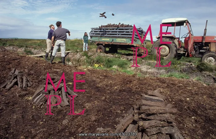 : Throwing peat into trailer during peat cutting, County Clare : Throwing peat into trailer during peat cutting, County Clare