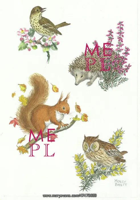 : Thrush on a branch, hedgehog, squirrel and owl : Thrush on a branch, hedgehog, squirrel and owl