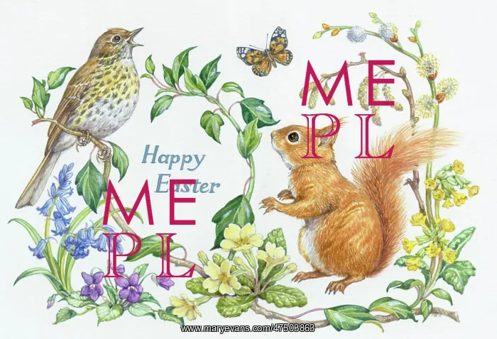 : Thrush, red squirrel, butterfly & spring flowers : Thrush, red squirrel, butterfly & spring flowers