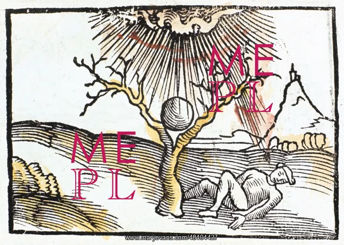: Thunderbolt or lightning, 1508. Man sheltering : Thunderbolt or lightning, 1508. Man sheltering