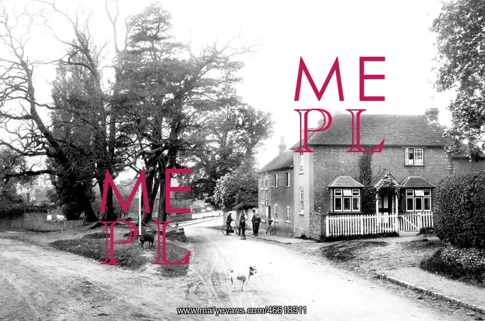  : Thursley, Village Post Office 1907
