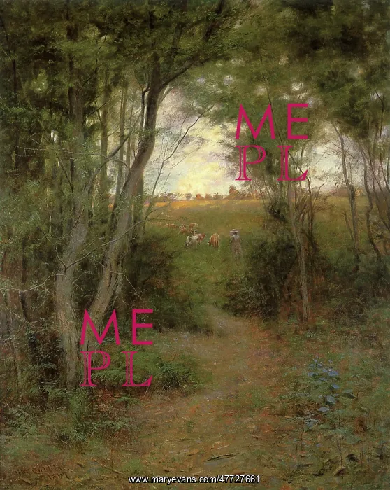  : A Ti-Tree Glade