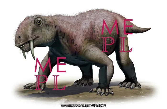 : A Tiarajudens eccentricus from the Paleozoic era : A Tiarajudens eccentricus from the Paleozoic era