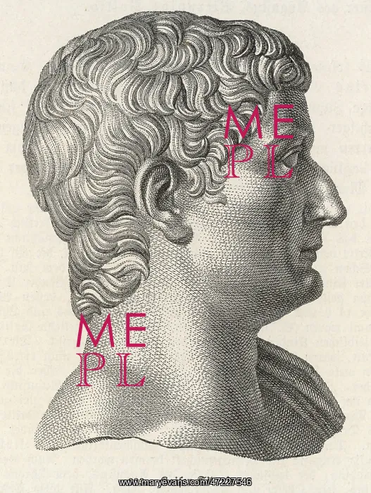 : TIBERIUS (BUST) : TIBERIUS (BUST)