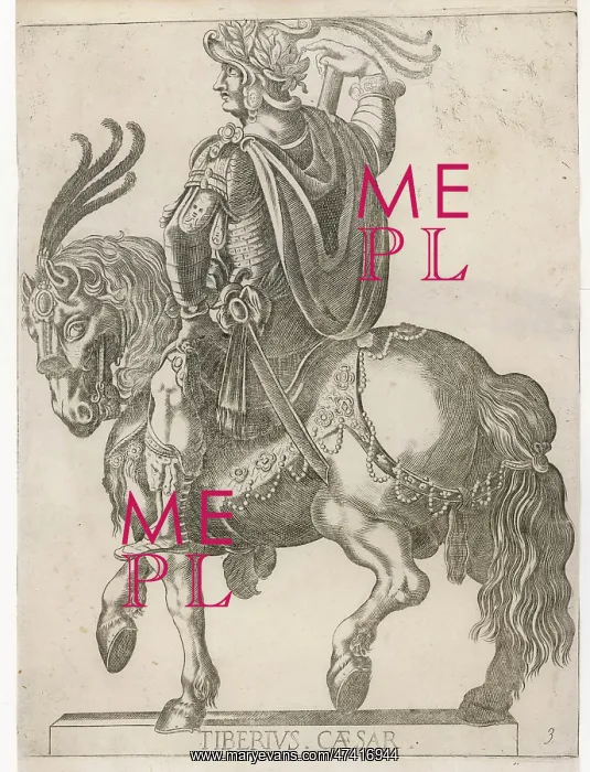 : TIBERIUS CAESAR / HORSE : TIBERIUS CAESAR / HORSE
