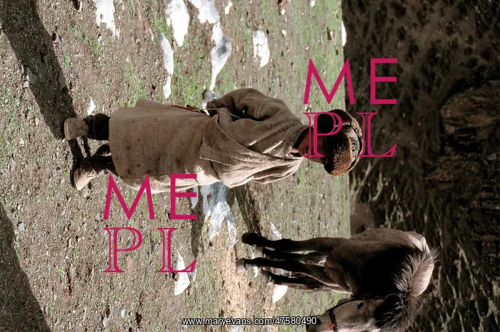 : Tibetan horse minder : Tibetan horse minder