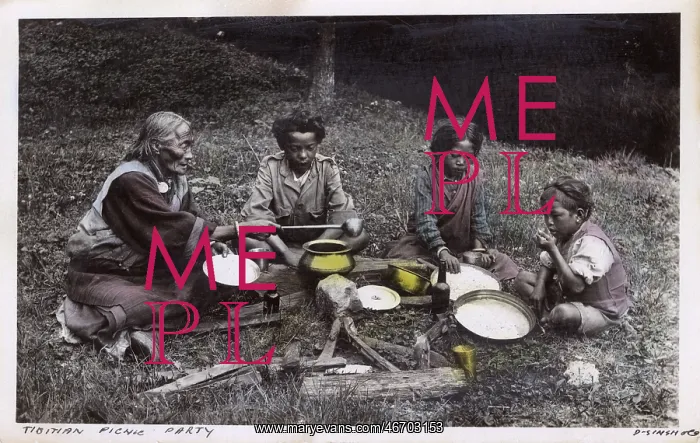 : Tibetan Picnic Party : Tibetan Picnic Party