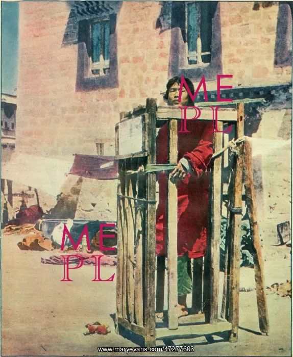 : TIBETAN SUICIDE PUNISHED : TIBETAN SUICIDE PUNISHED