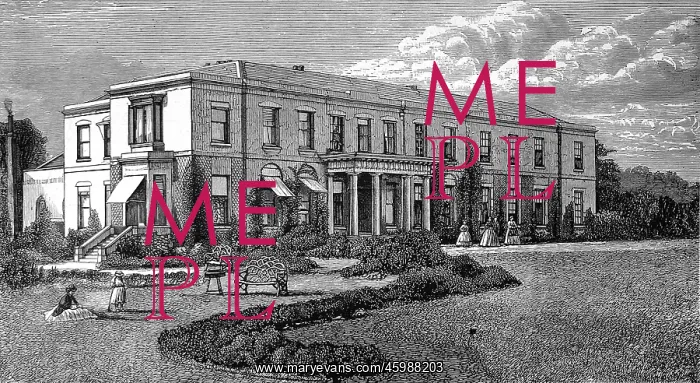 : Tichborne House 1871 : Tichborne House 1871
