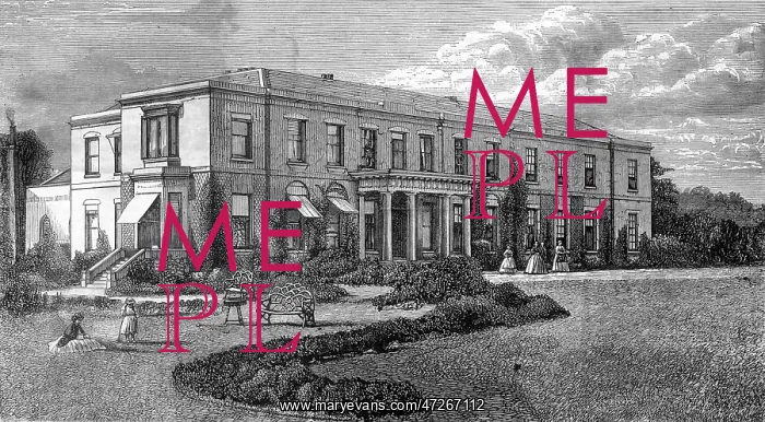: TICHBORNE HOUSE : TICHBORNE HOUSE