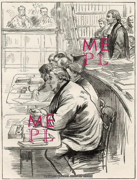 : The Tichborne Trial, the claimant in court : The Tichborne Trial, the claimant in court