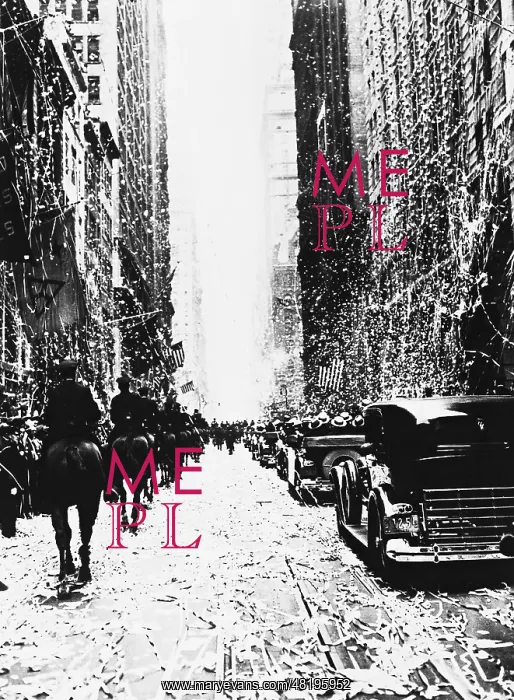 : Ticker tape parade for the landing of the Count Zeppelin i : Ticker tape parade for the landing of the Count Zeppelin i