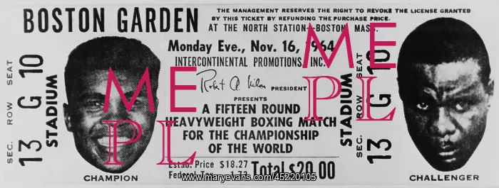 : Ticket to world championship boxing match ? : Ticket to world championship boxing match ?