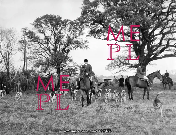  : THE TICKHAM FOXHOUNDS