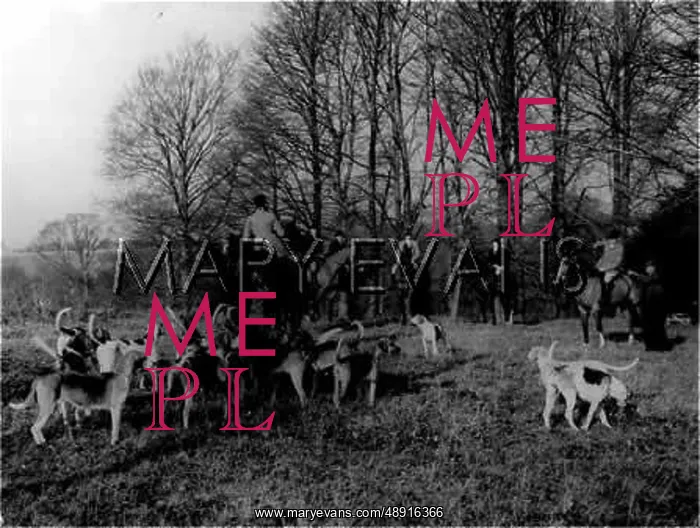 : TICKHAM FOXHOUNDS MEET : TICKHAM FOXHOUNDS MEET
