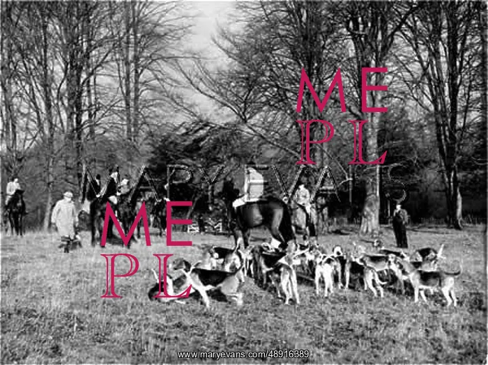 : TICKHAM FOXHOUNDS MEET : TICKHAM FOXHOUNDS MEET