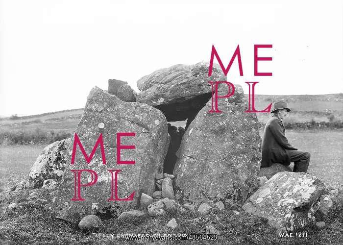 : Ticloy Cromlech, Co. Antrim : Ticloy Cromlech, Co. Antrim