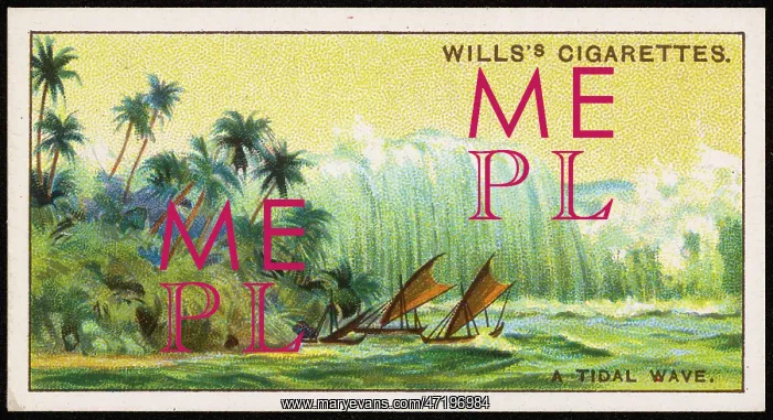 : TIDAL WAVE, 1908 : TIDAL WAVE, 1908