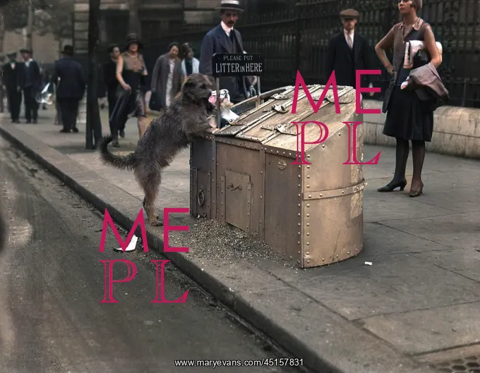 : TIDY DOG. An exemplary dog picking up litter and depositing it into a special : TIDY DOG. An exemplary dog picking up litter and depositing it into a special