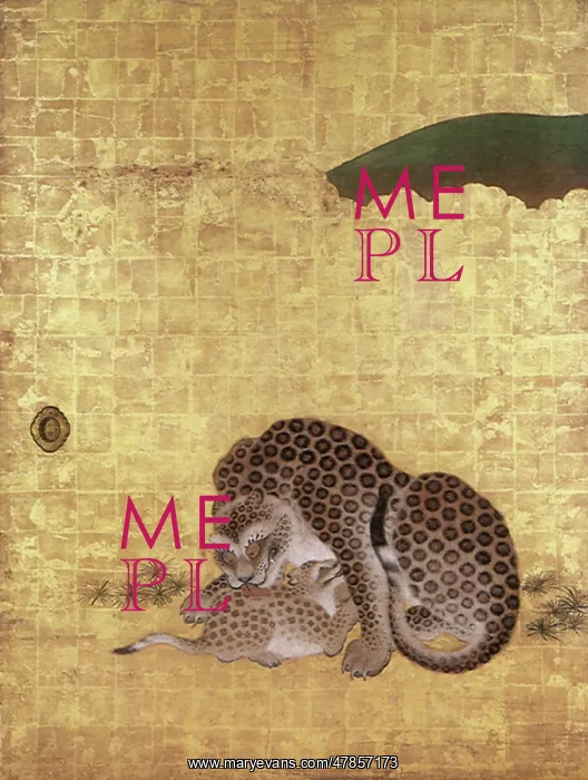 : Tiger : Tiger