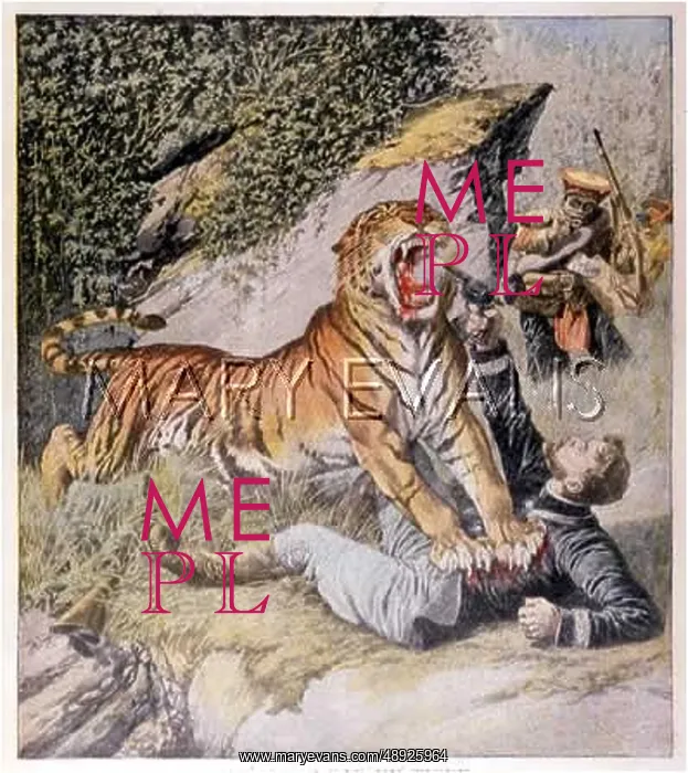 : TIGER ATTACKS FRENCHMAN : TIGER ATTACKS FRENCHMAN