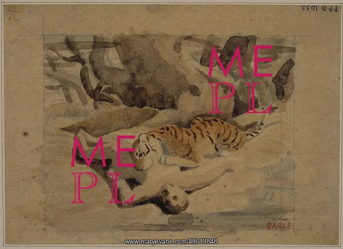 : Tiger eating a man : Tiger eating a man