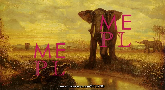 : Tiger and Elephants at the Source : Tiger and Elephants at the Source