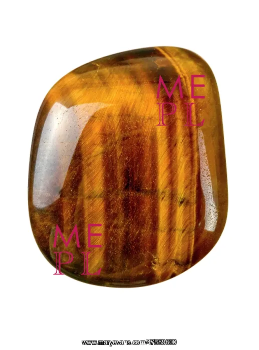  : Tiger eye specimen