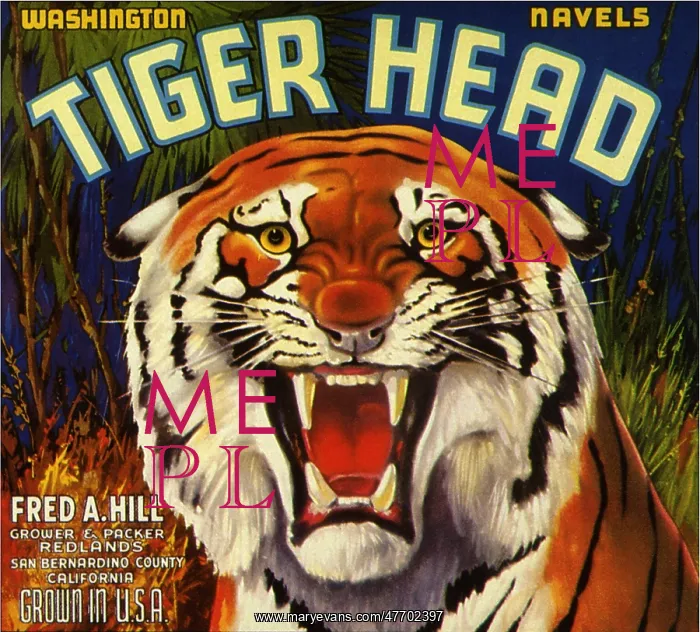  : Tiger Fruit Label